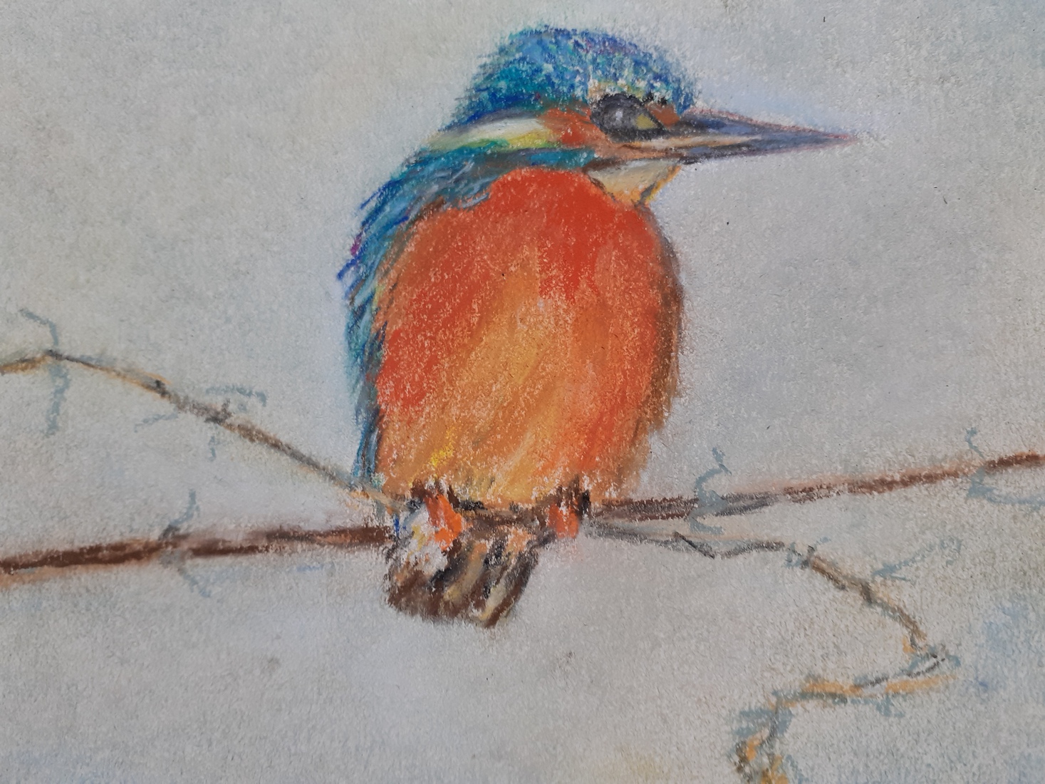Ijsvogel op takje