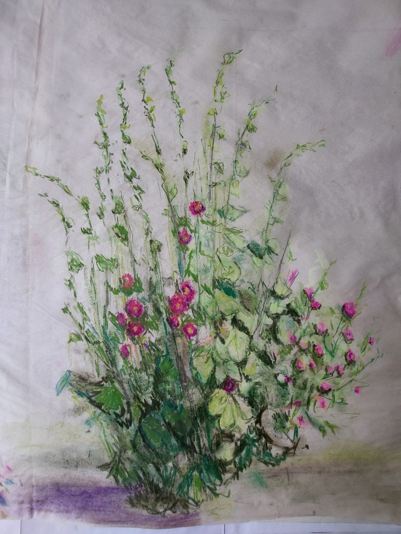 Stokroos met rose bloemen