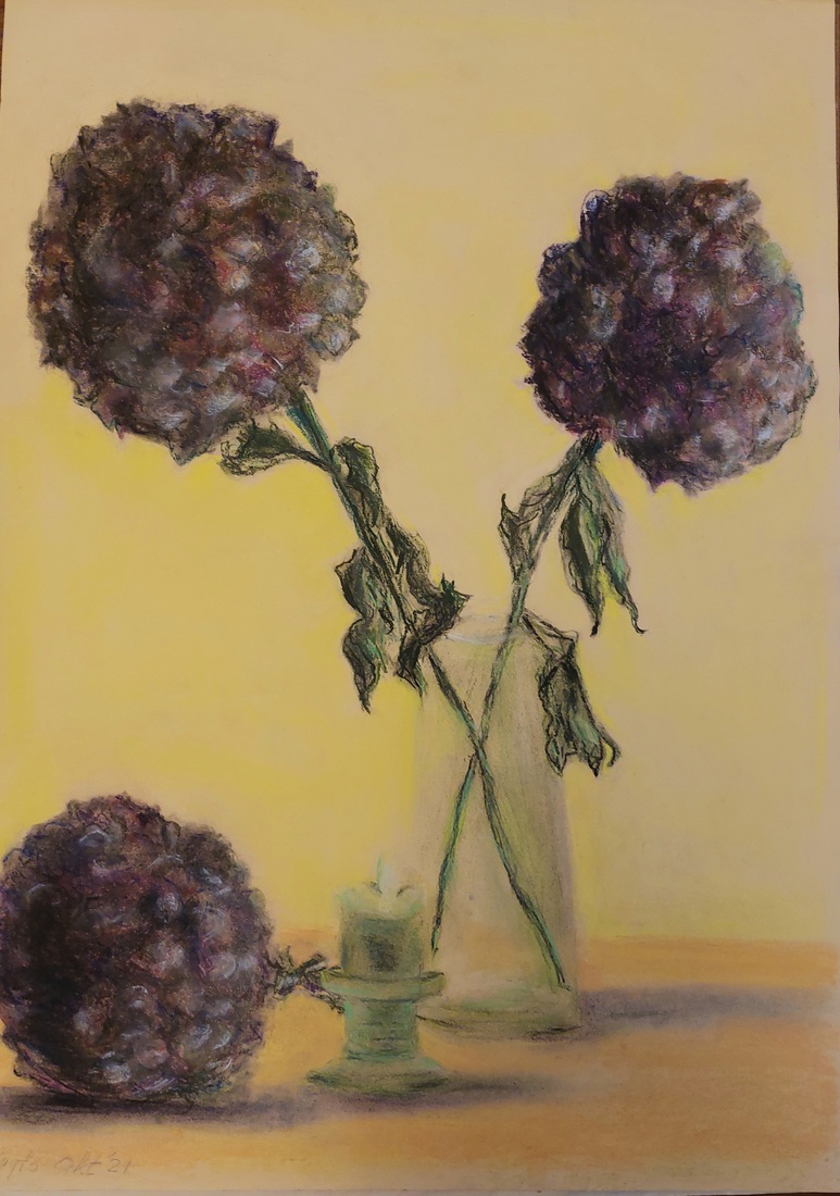 Hortensia's