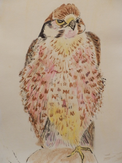 Zittende roofvogel (Aquarel)