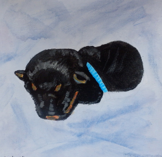 Django, reutje licht blauw