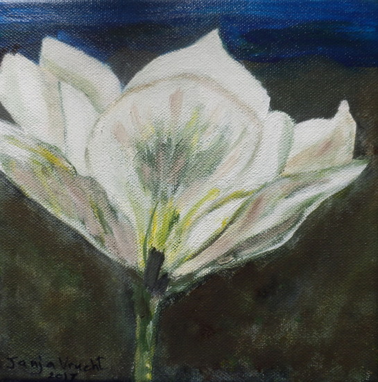 Witte bloem 1