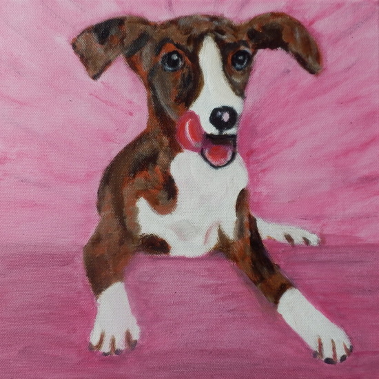 Pup voor roze achtergrond