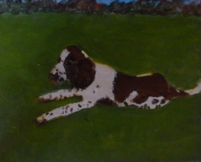 Spaniel