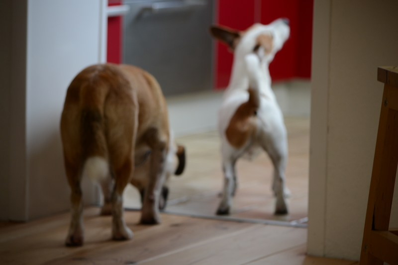 Is er nog wat te eten.