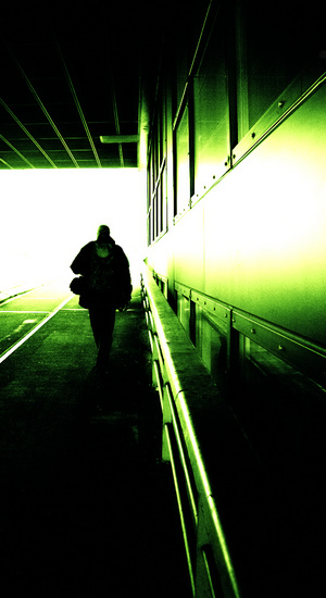 Heading for the light