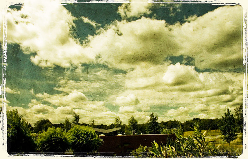 Dutch Sky