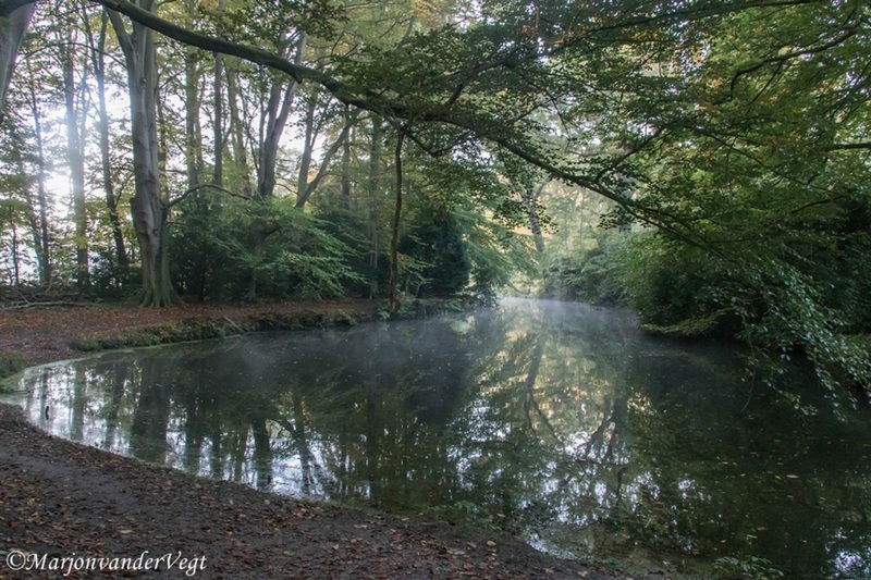 Wassenaar op z'n mooist