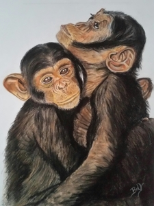 Kleurpotlood, pastelpotlood