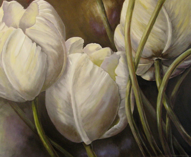 Tulpen( roomkleurig )