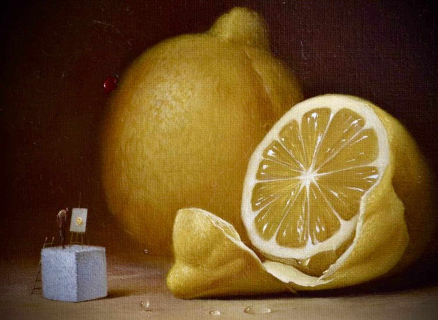 The lemon sitter SOLD