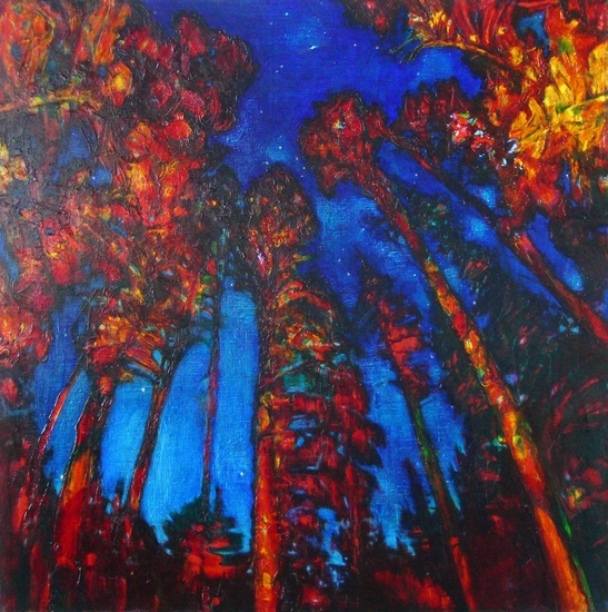 Night (from the series Forest)