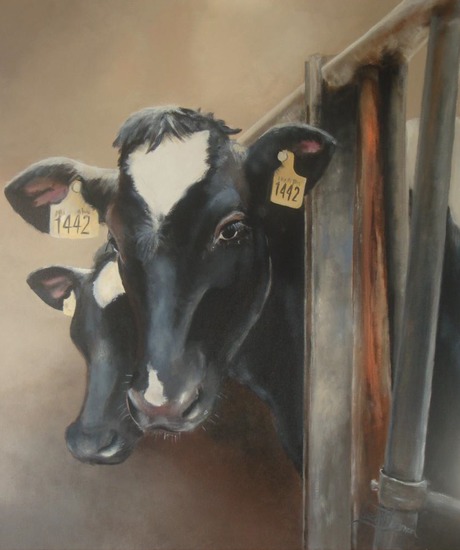 Bonte koeien op stal