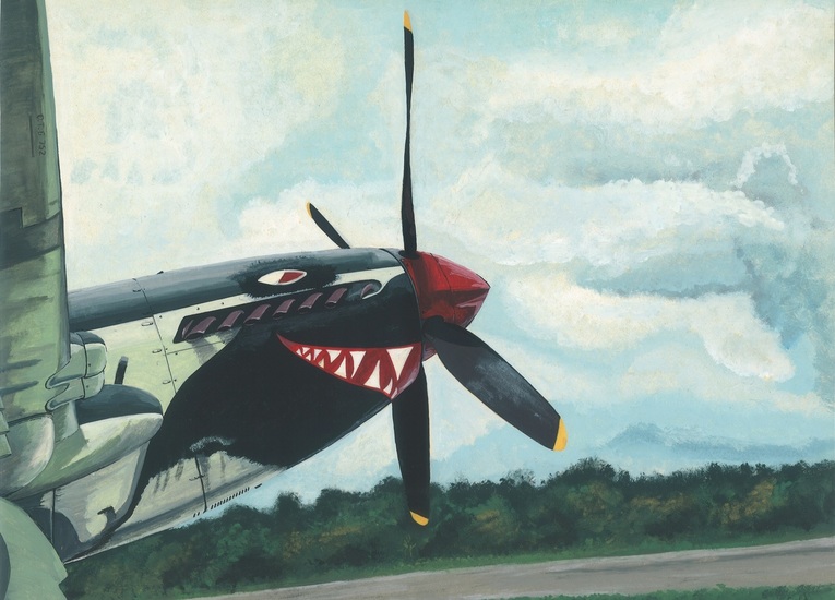 Fairey Firefly Nose (Bestelnr. MLD-21)