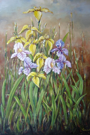 Irises2