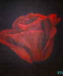 Er is mij in 2009 gevraagd een serie te maken van bloemen voor een tuinexpositie, een 5-tal zijn er toen verkocht, helaas heb ik daar geen foto's van, de overige kunt u hier zien. Leuk om eens iets heel anders te doen.