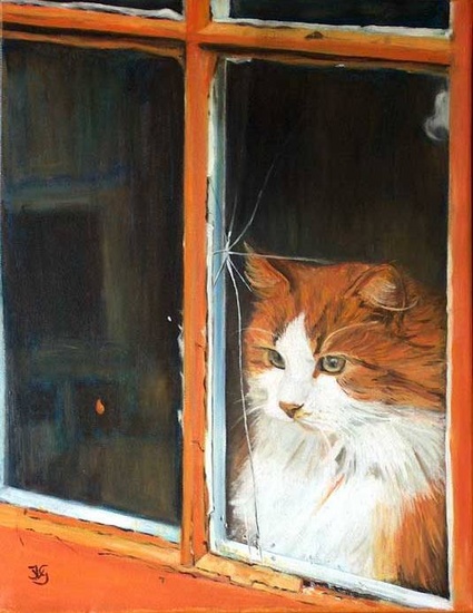 Poes aan het venster