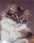 Poes pastel op papier 27 cm x 34 cm 43,50 cm x 50 cm ingelijst