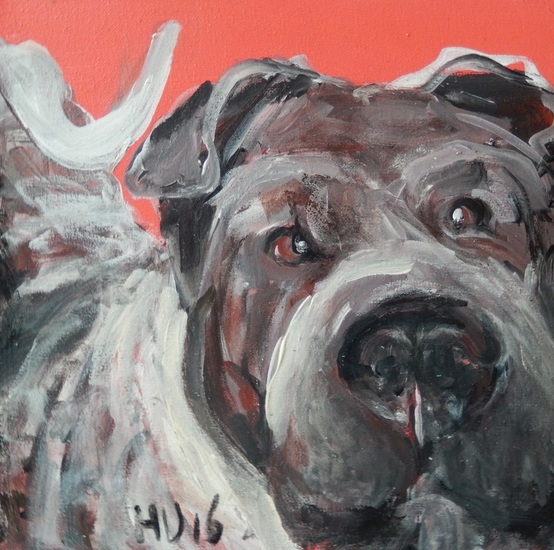 hond