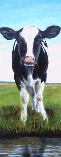 kalf aan de waterkant