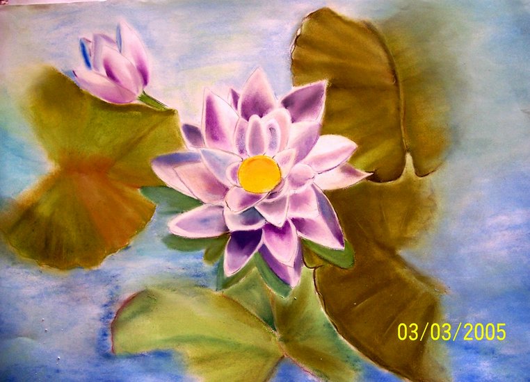 Lotus