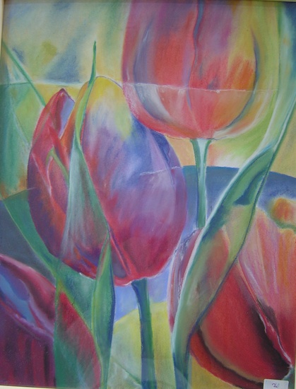 Tulp Transparant