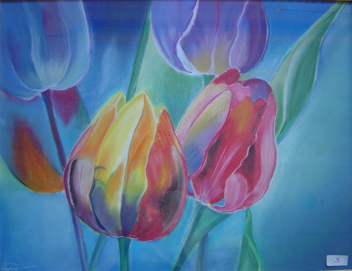 Tulpen color