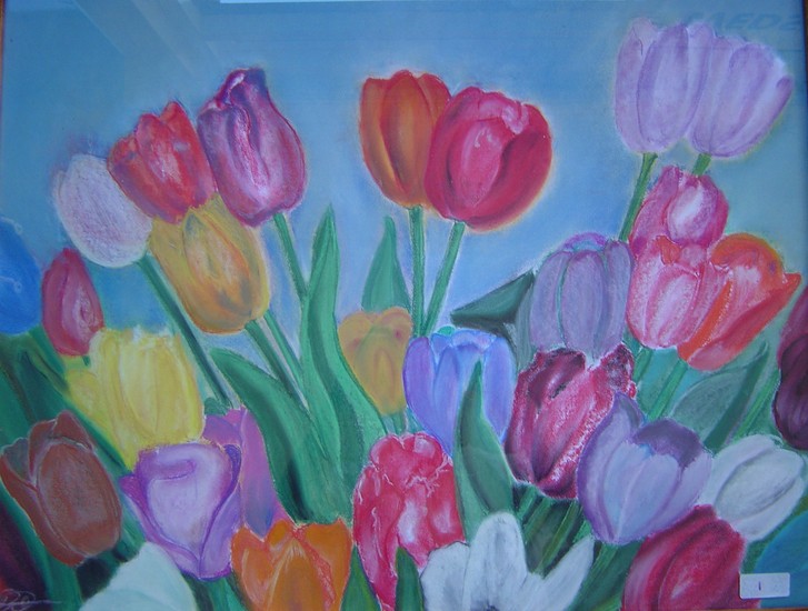 Tulpenpracht