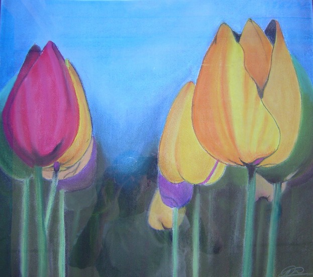 Tulp steriel
