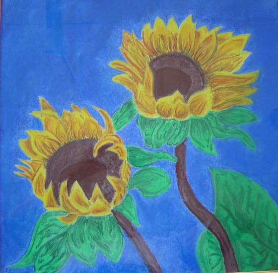 Zonnebloem