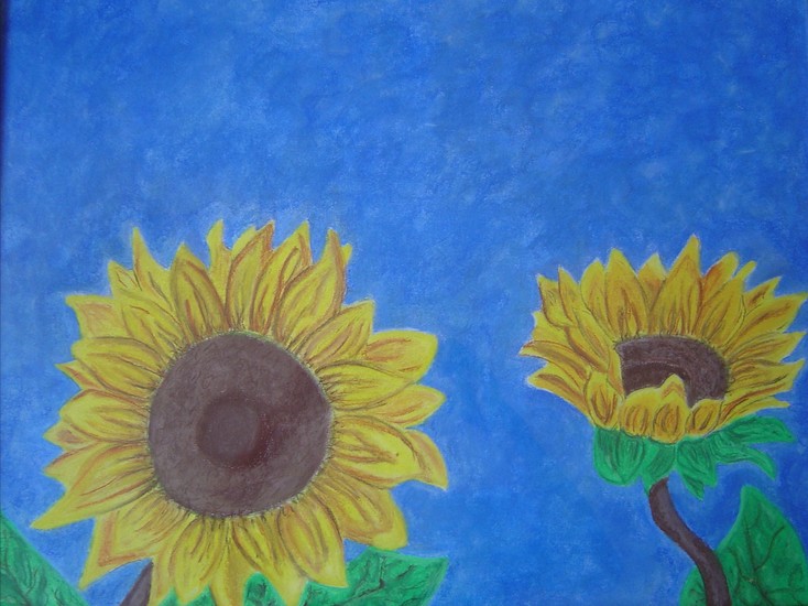 Zonnebloem