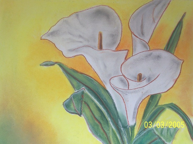 Kelk bloem