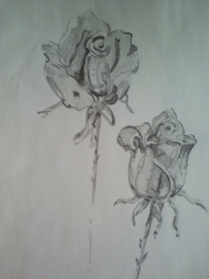 Rozen