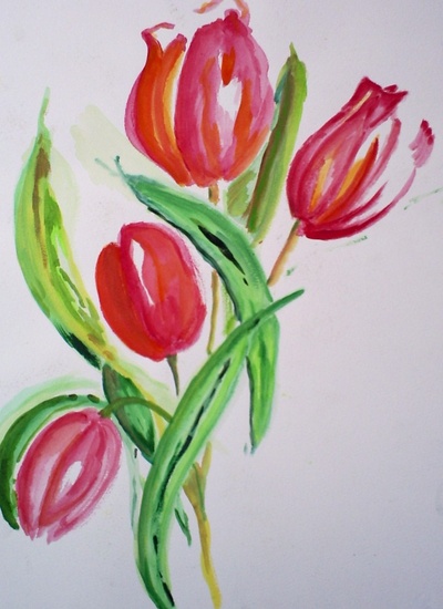 spring tulp