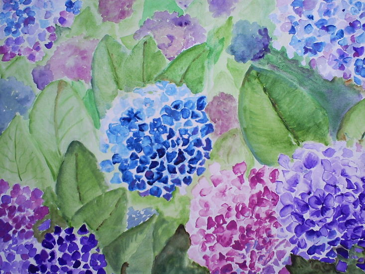 Hortensia