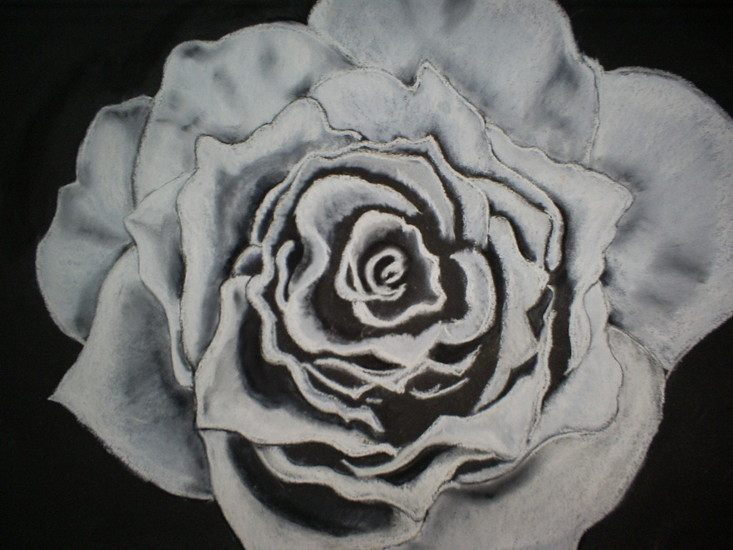 Witte Roos