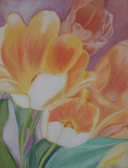 Tulpen exspansie