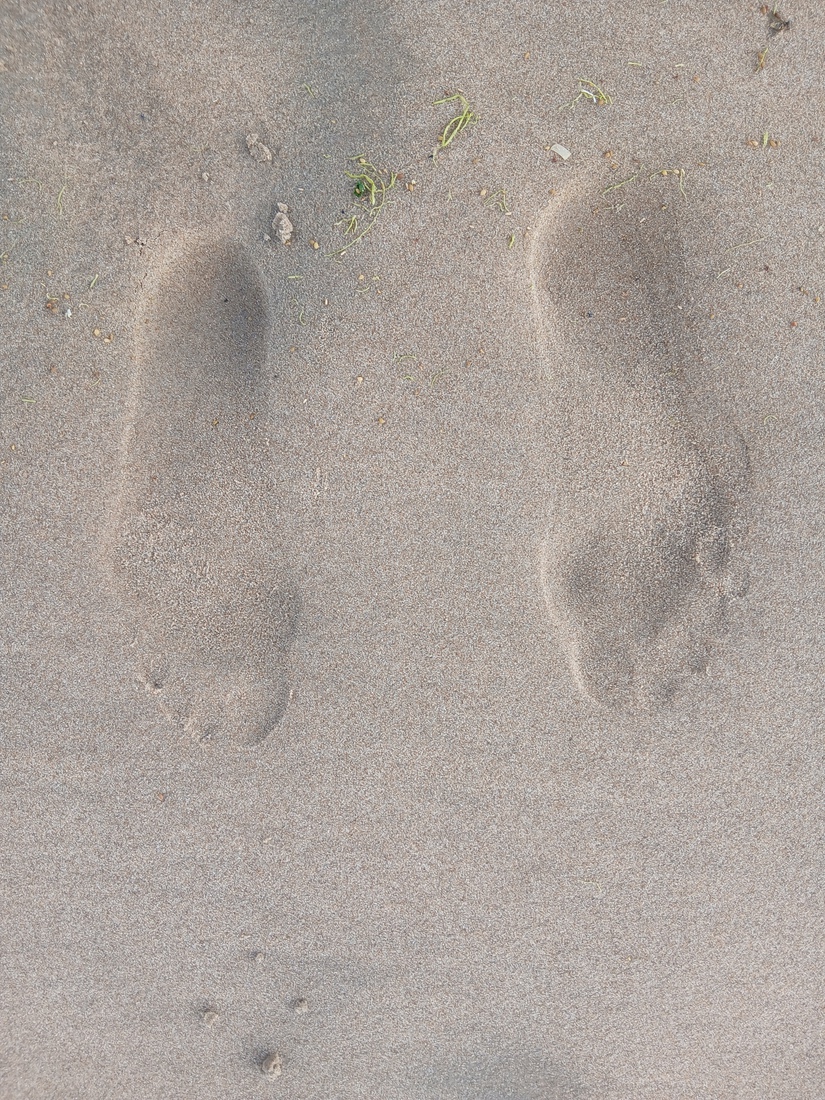 Voeten in het strand.