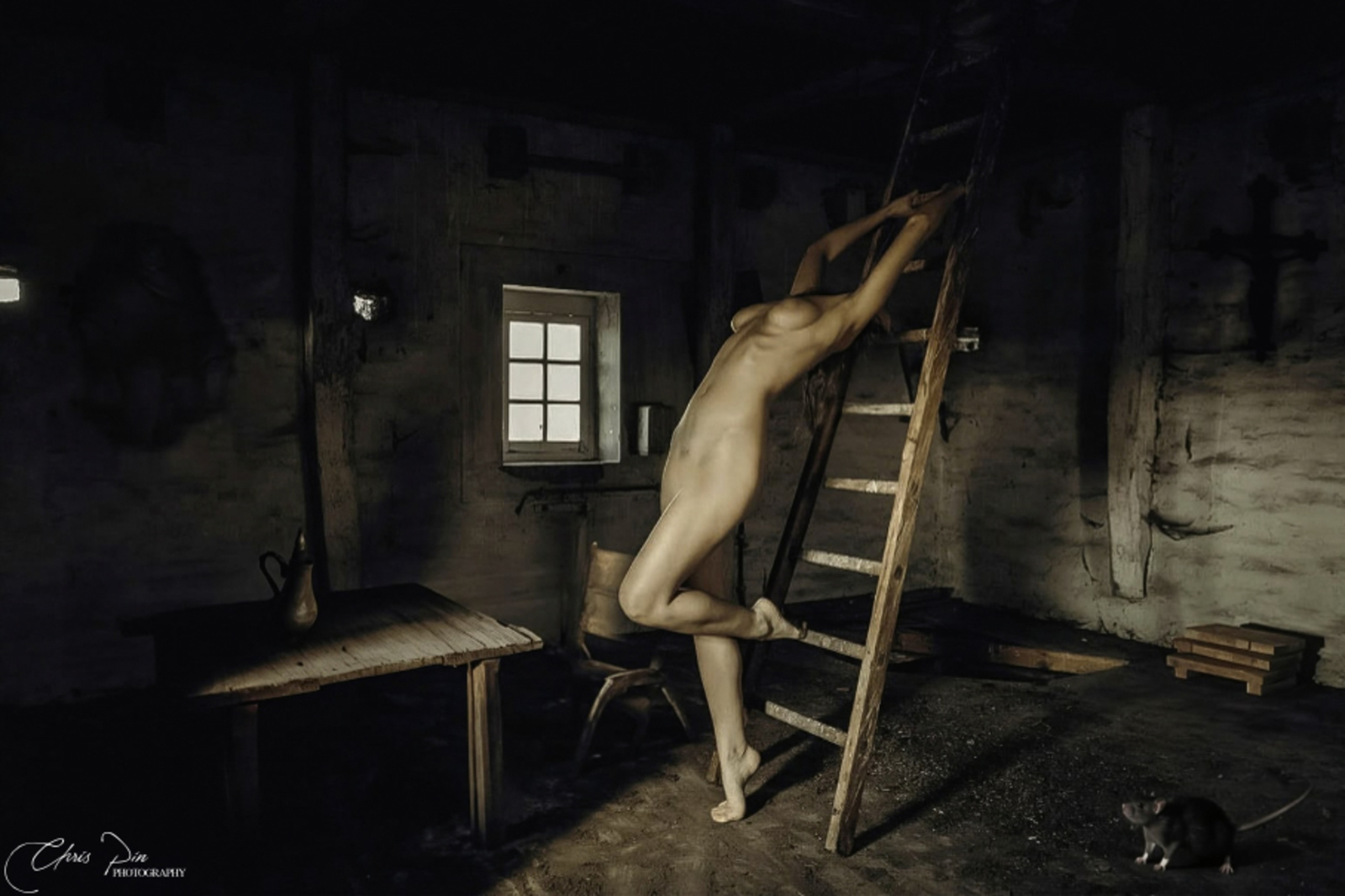 Nude 37