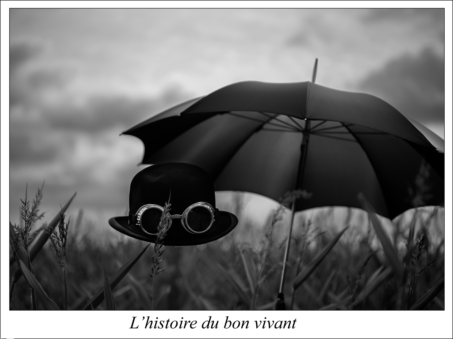 Bon Vivant 9