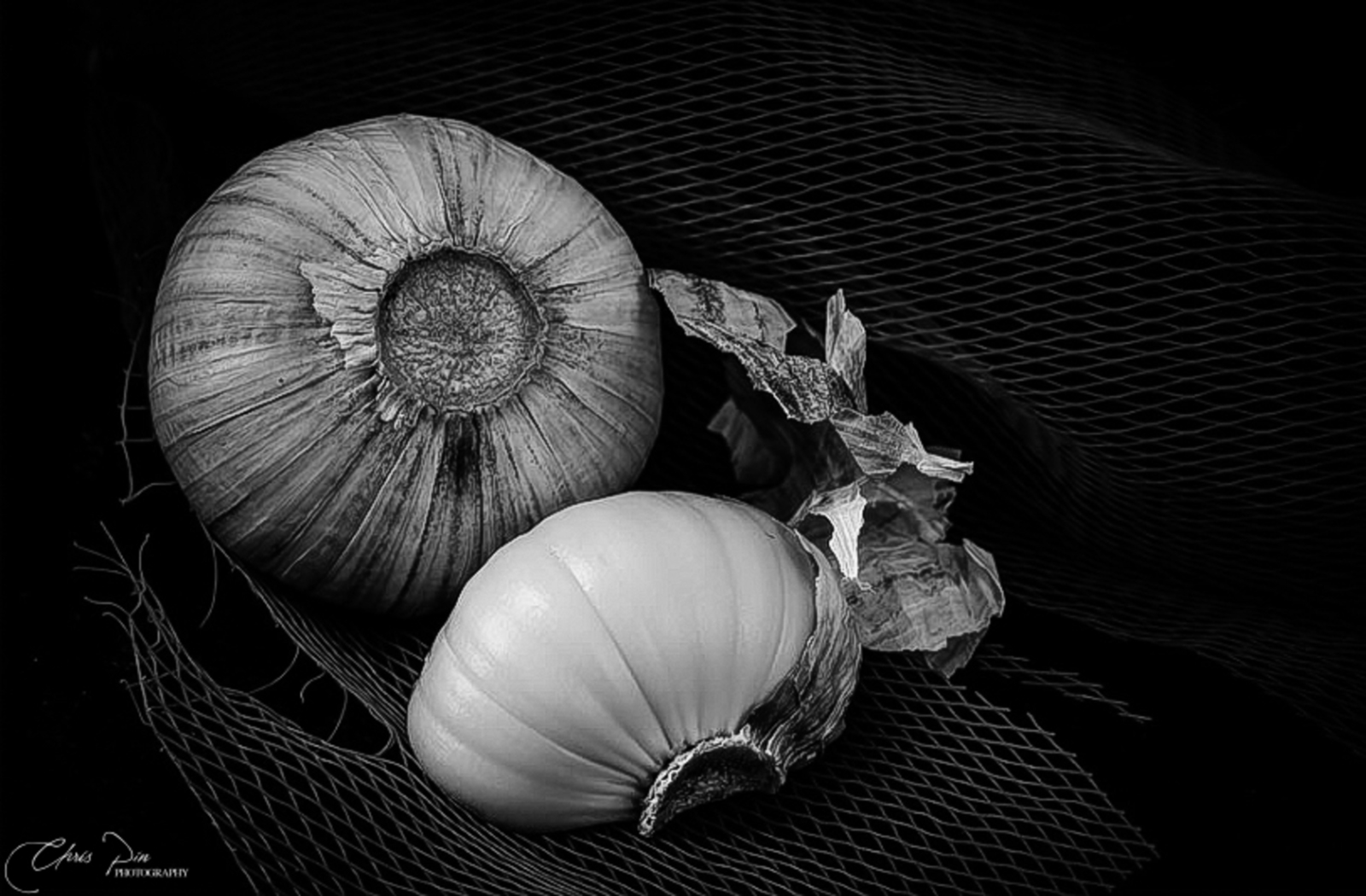 Macro