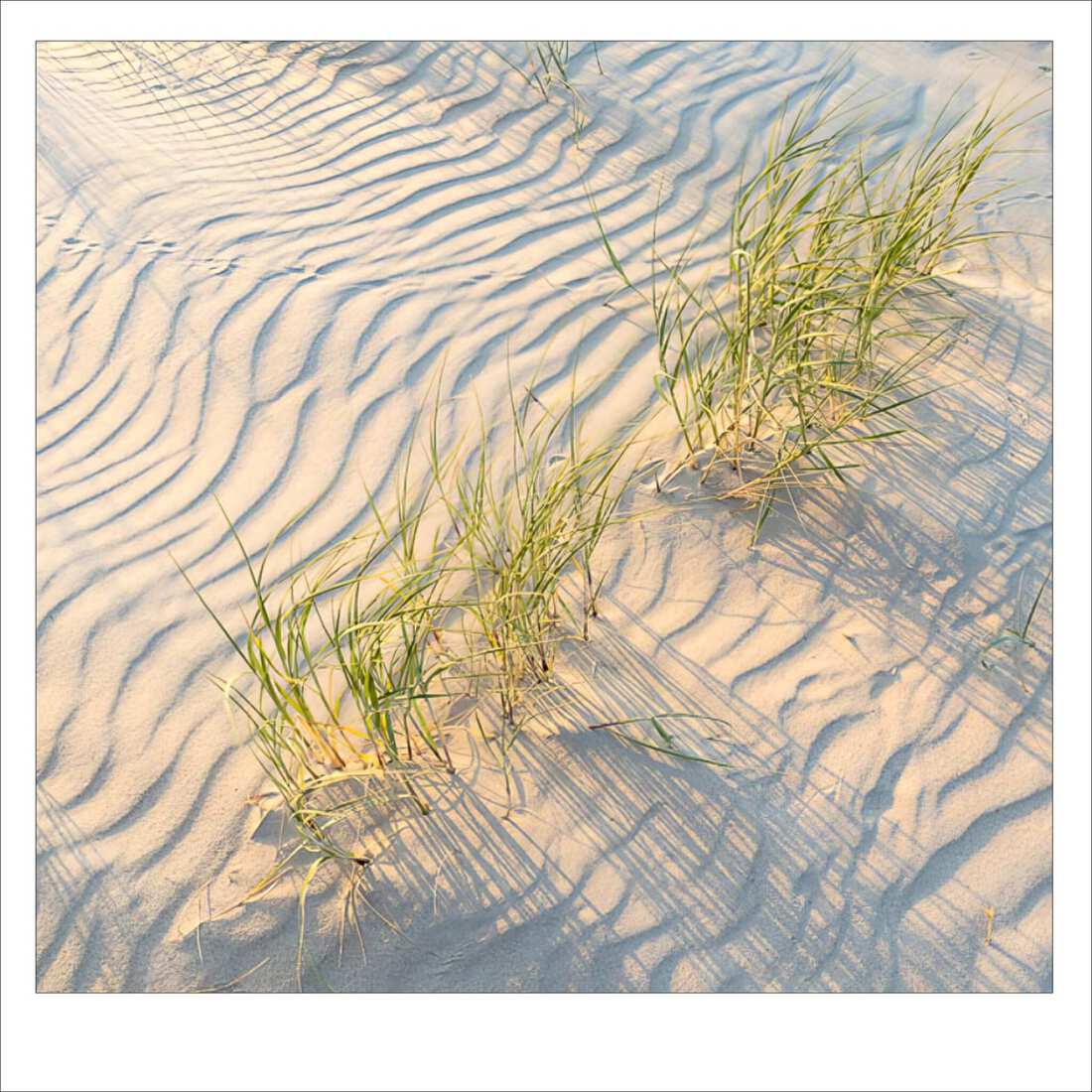 Vlieland