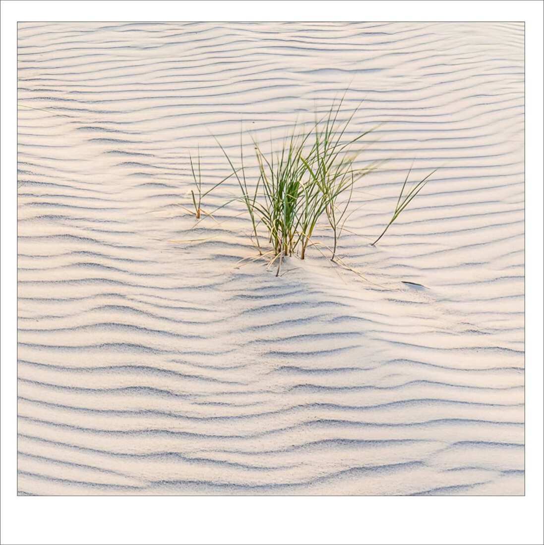 Vlieland