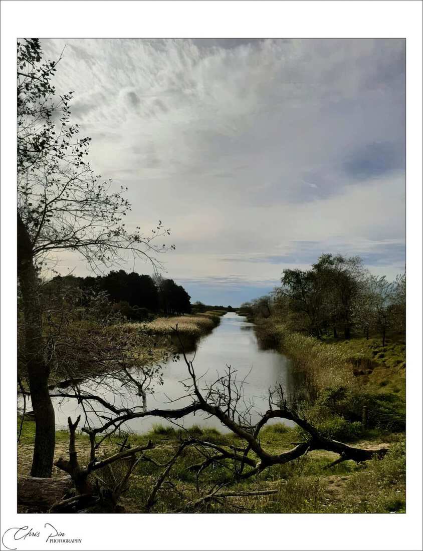 Amsterdamse waterleiding duinen