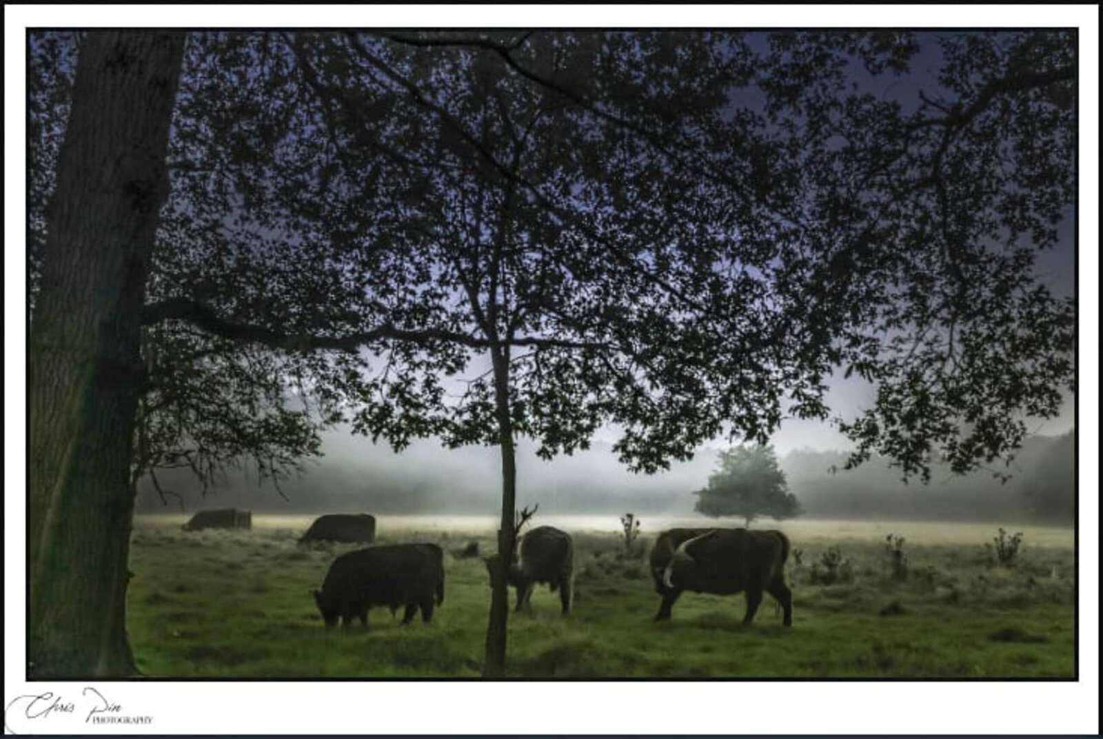 Rijkevoort Ochtendmist