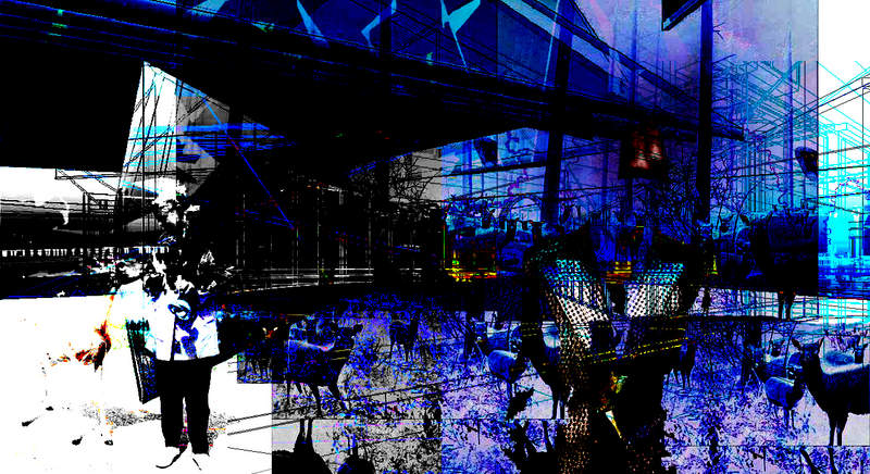 blue dear