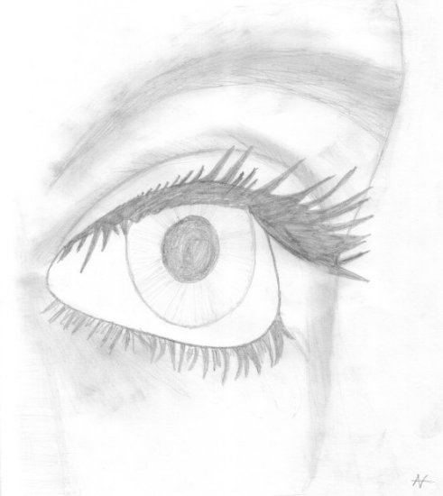 Oog