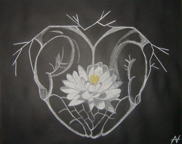 The Gift
