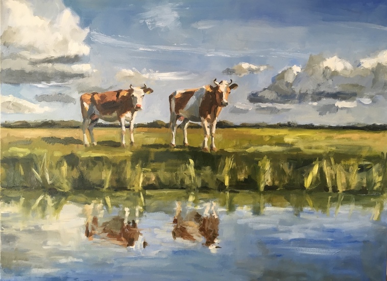 Koeien aan de waterkant