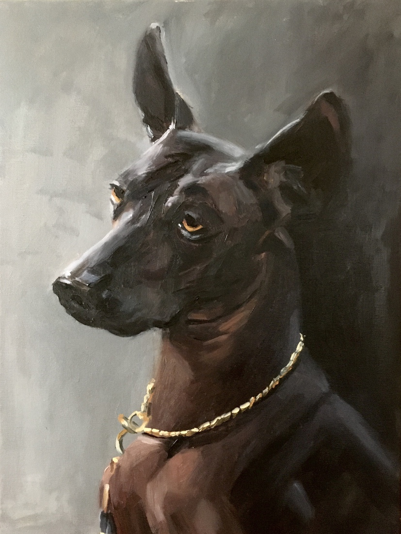 Portret van een Mexicaanse naakthond